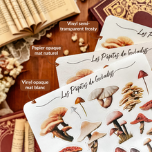 Load image into Gallery viewer, Large sheet of modern book stickers