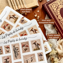 Load image into Gallery viewer, Small sheet of vintage insect stamp stickers