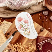Charger l'image dans la galerie, Enveloppe Fleurs des Champs complète - Pépites Ultimes - Patreon