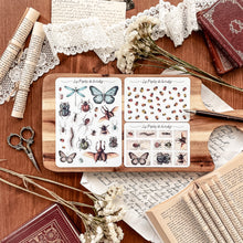 Load image into Gallery viewer, Small sheet of vintage insect stamp stickers