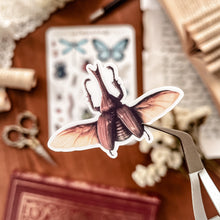 Load image into Gallery viewer, Large sheet of vintage insect stickers
