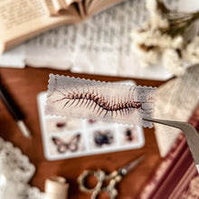 Load image into Gallery viewer, Small sheet of vintage insect stamp stickers