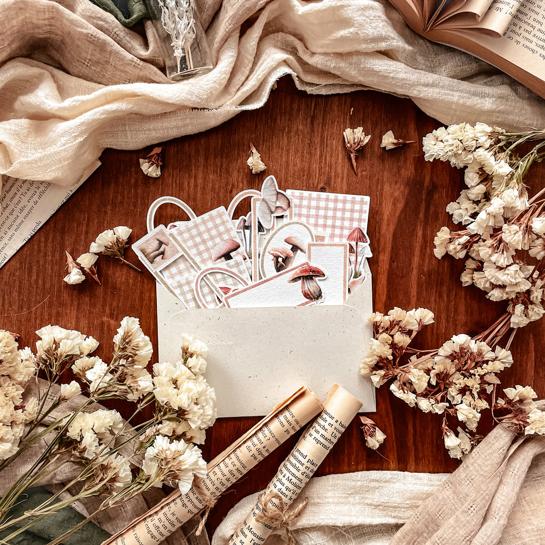 Set of frames and inserts - autumnal leaves